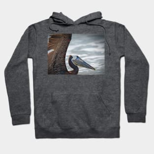 Colorful Brown Pelican Hoodie